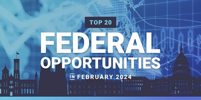 Top 20 federal contract opportunities in February 2024