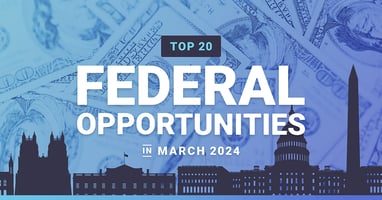 Top 20 Federal Opportunities in March 2024